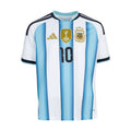 Youth Argentina home soccer jersey, light blue and white vertical stripes, black trim, #10