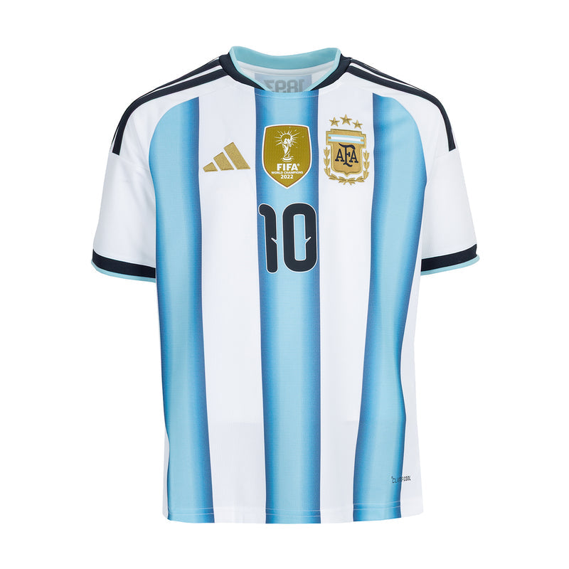 Youth Argentina home soccer jersey, light blue and white vertical stripes, black trim, #10