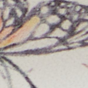 Alamassi