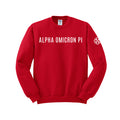 Alpha Omicron Pi - Infinity Rose Crewneck