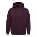Alpha Phi lululemon Steady State Pullover Hoodie - CASSIS