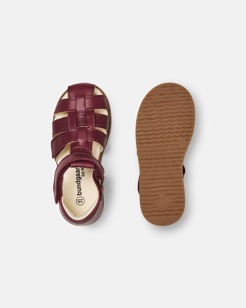 Bali Berry