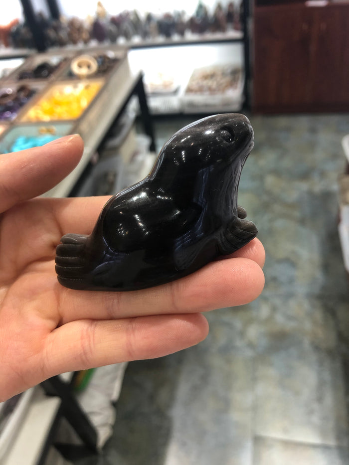 Beaver