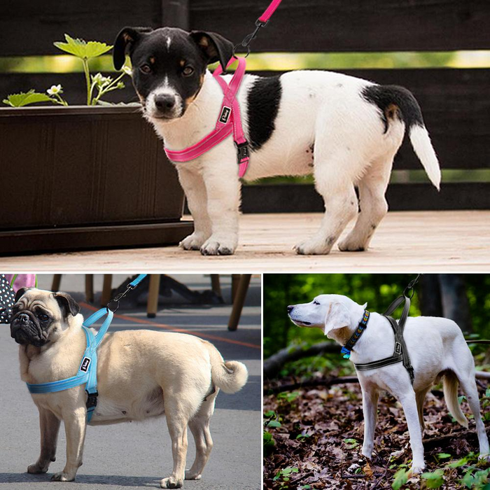 Black No Pull Reflective Harness - Dogs and Horses
