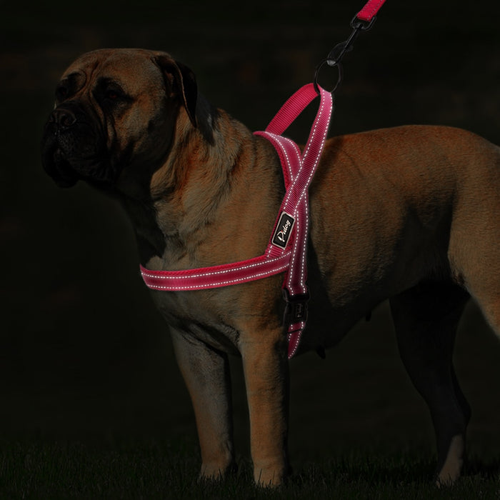 Black No Pull Reflective Leash - Dogs and Horses