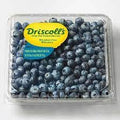 BLUEBERRIES DRISCOLL'S 18 OZ