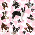 Dog Fabric, Boston Terrier Fabric, on a Heart Background, Cotton or Fleece 2125 - Beautiful Quilt