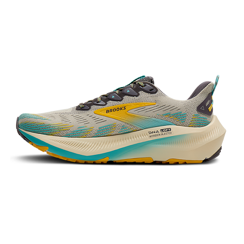 Brooks Ghost Trail