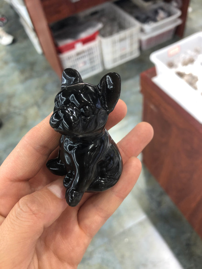 Bull dog