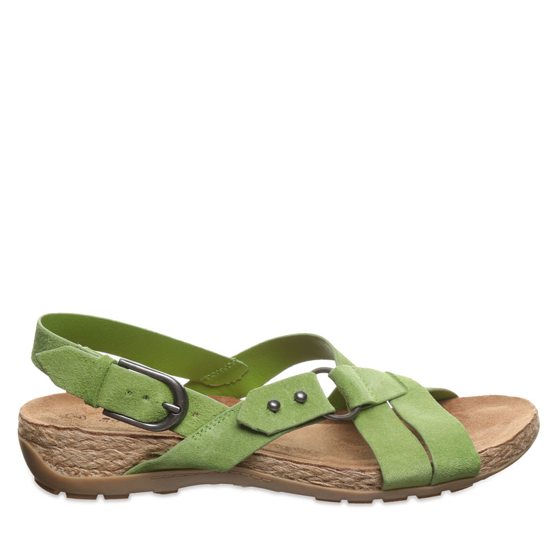 CADY KIWI