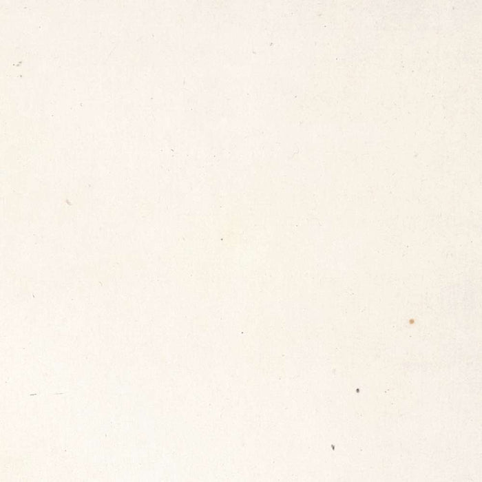 Dwarf Bengal Rose (Rosa indica pumila) by Pierre Joseph Redouté, 1817