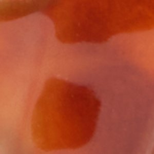 Ezraa