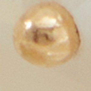 Foiwia
