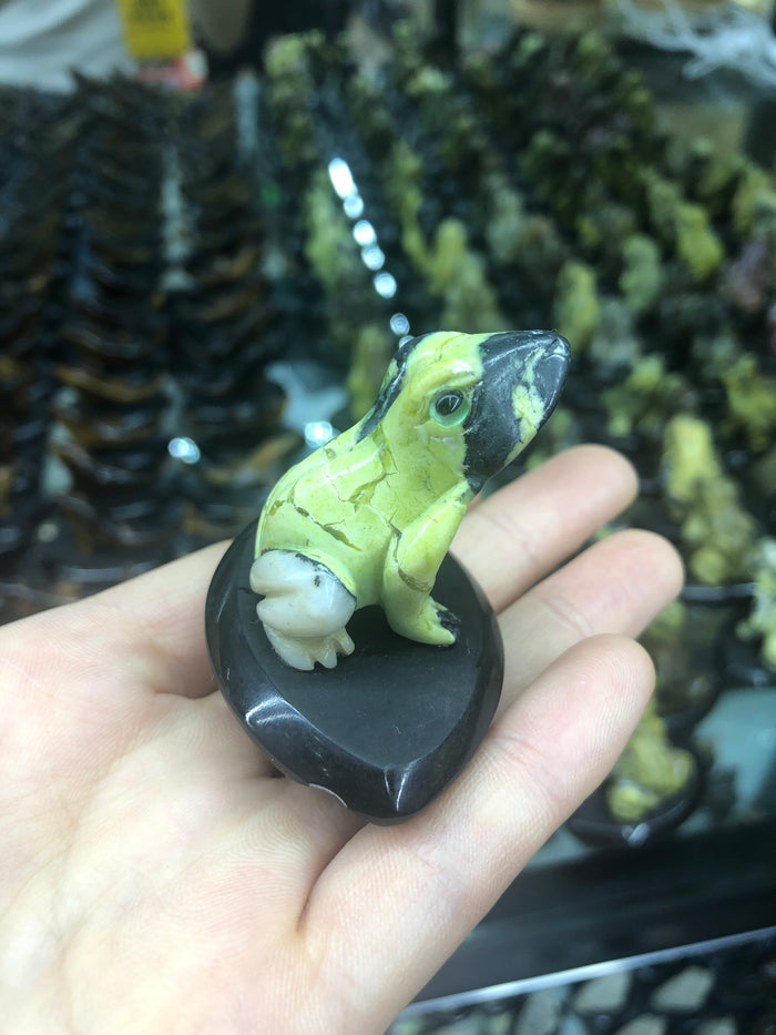 Frog