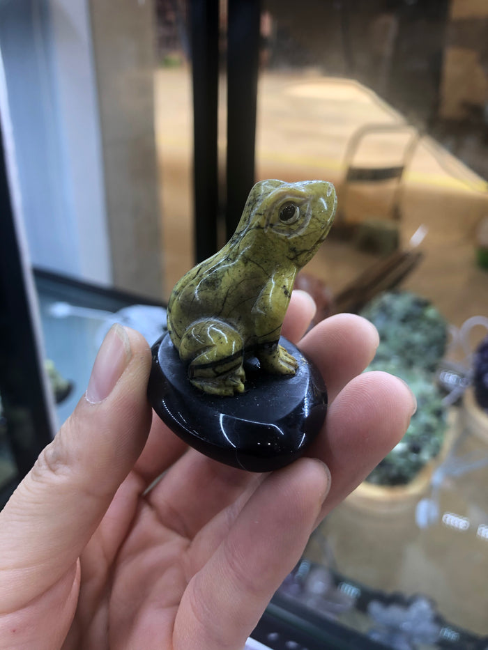 Frog