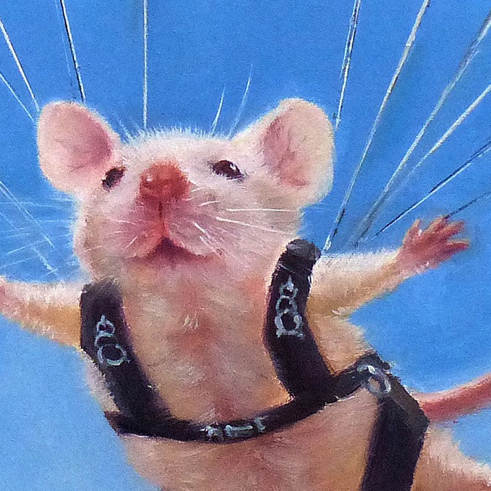 Geronimo: Gallery Wrapped Canvas