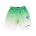 GRADIENT SHORTS GREEN