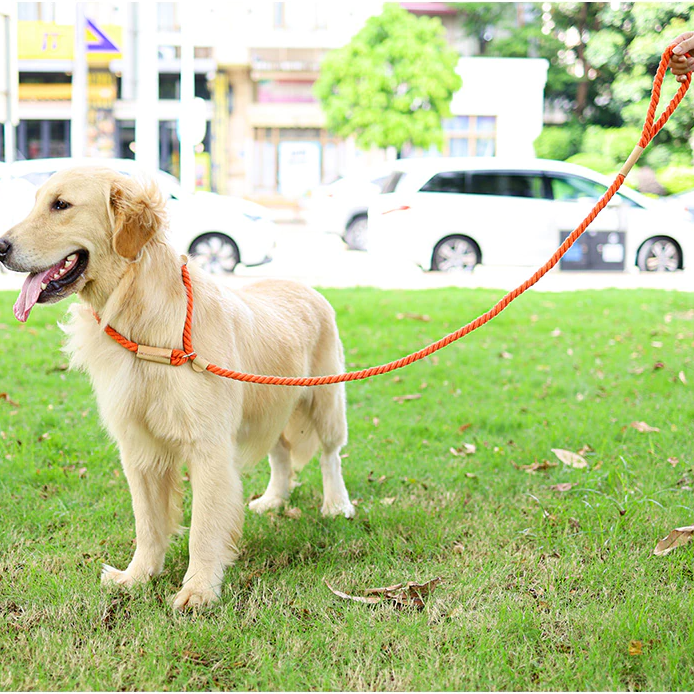 Gray Rope Slip Leash & Collar - Dogs and Horses