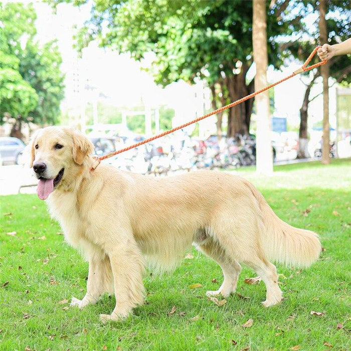 Gray Rope Slip Leash & Collar - Dogs and Horses