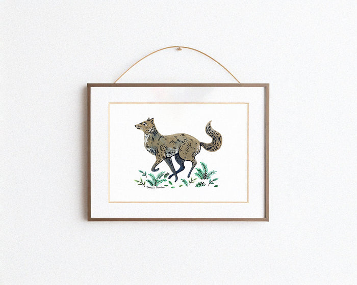 Gray Wolf Art Print