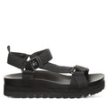 HYDRA BLACK