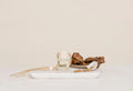 Ivy & Sage Car Diffuser Santal 13