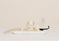 Ivy & Sage Car Diffuser Smoked Vanilla