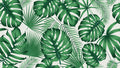 Leaf Fabric, Palm Tree Leaf fabric, Cotton or Fleece 3858 - Beautiful Quilt