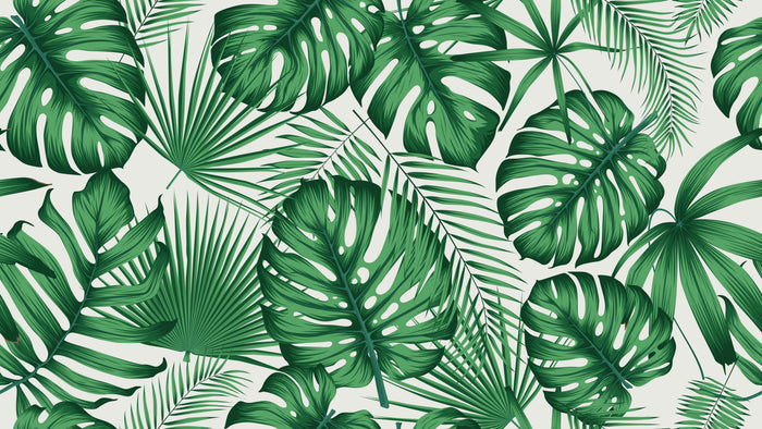 Leaf Fabric, Palm Tree Leaf fabric, Cotton or Fleece 3858 - Beautiful Quilt