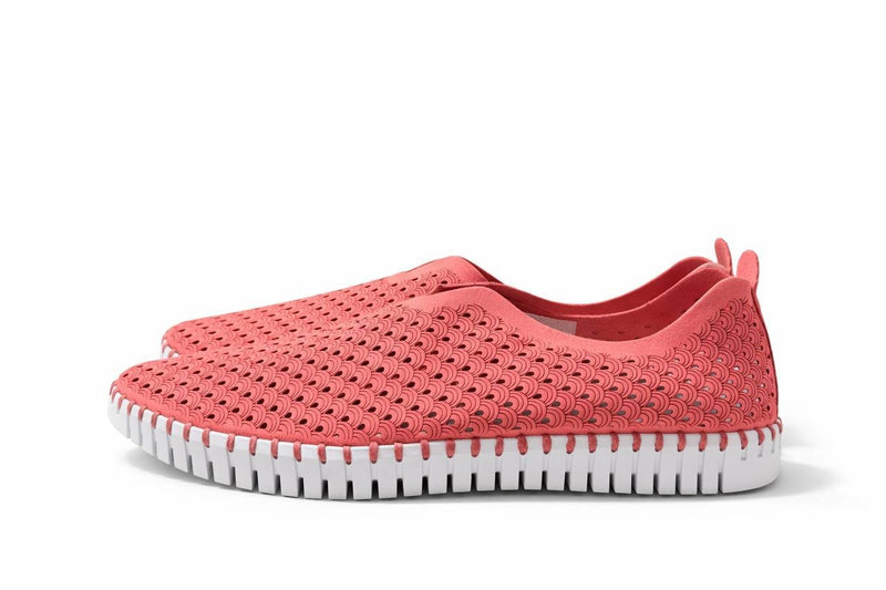 lse Jacobsen Women's Slip on TULIP 139-321100A Rough