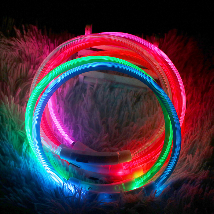 Luminous Dog Collar - USB Rechargeable - Dogs and Horses