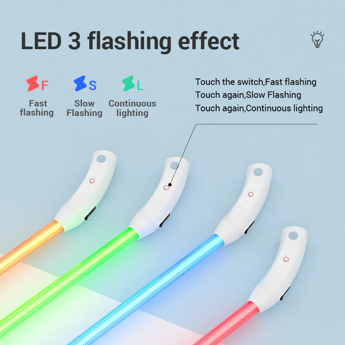 Luminous Dog Collar - USB Rechargeable - Dogs and Horses