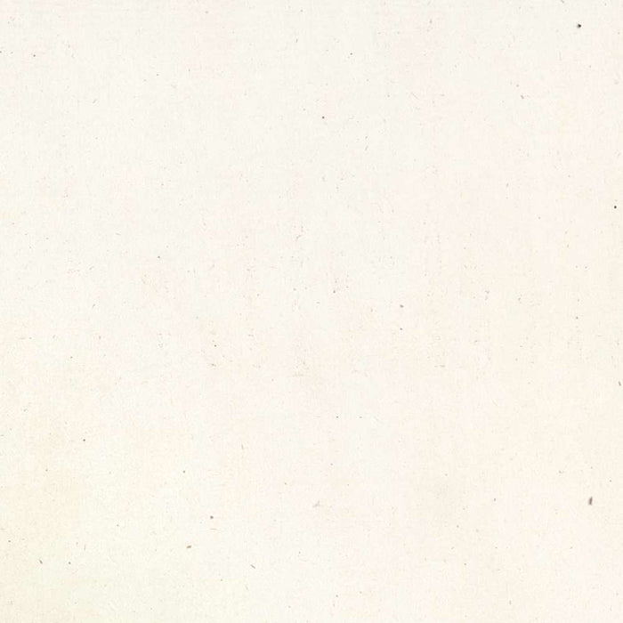 Musk Rose (Rosa moschata) by Pierre Joseph Redouté, 1817