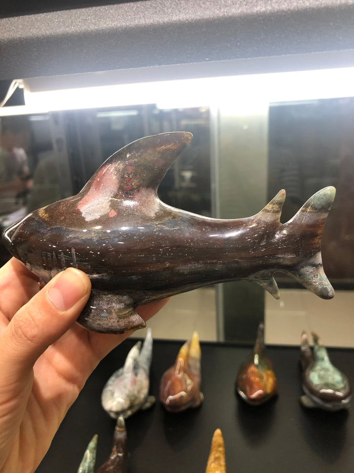 Ocean jasper shark