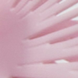 Petaldream