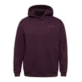 Pi Beta Phi lululemon Steady State Pullover Hoodie - CASSIS