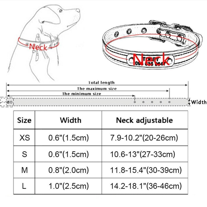Pink Glittering Personalized Collar - Dogs and Horses