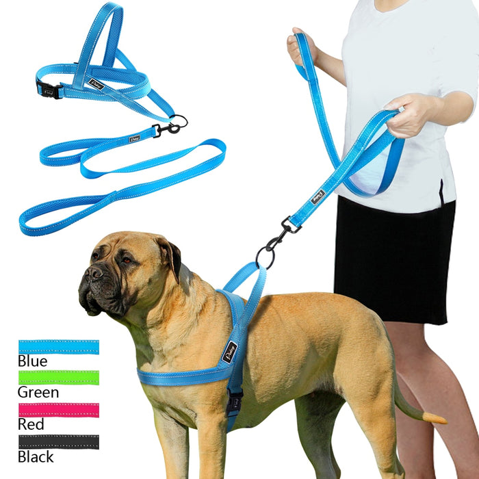 Pink No Pull Reflective Leash - Dogs and Horses