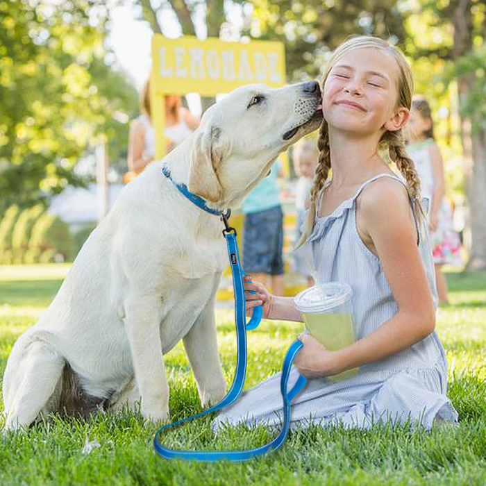 Pink No Pull Reflective Leash - Dogs and Horses