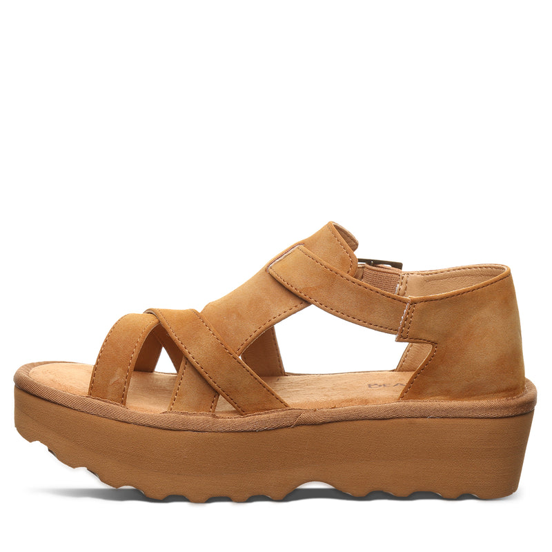 PINNACLE BROWN