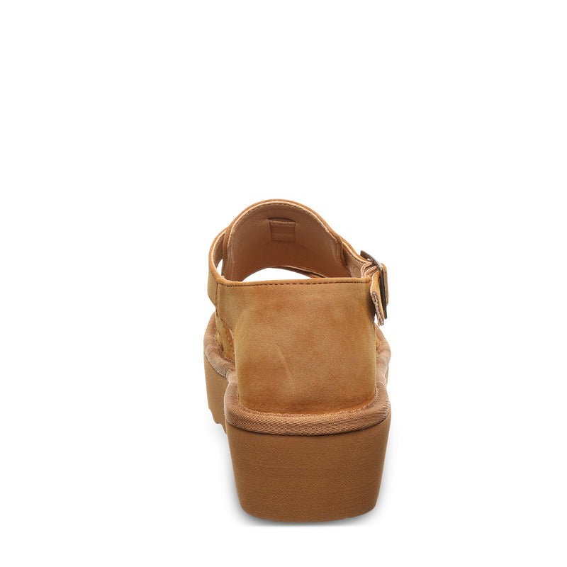 PINNACLE BROWN