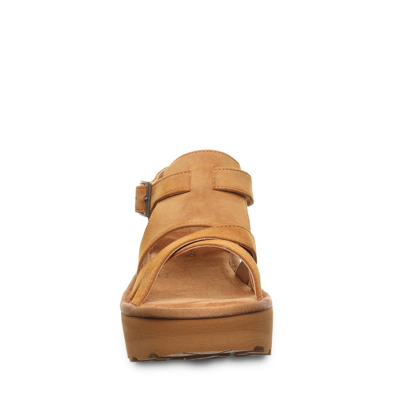PINNACLE BROWN