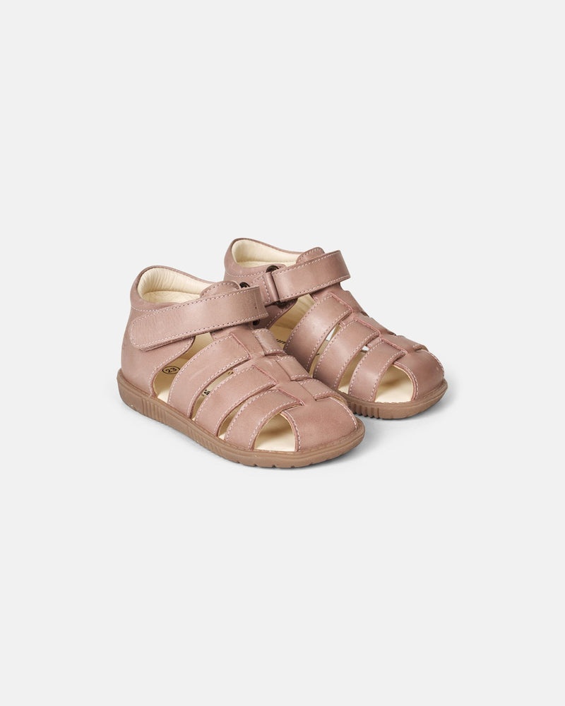 Rollo Dusty Rose