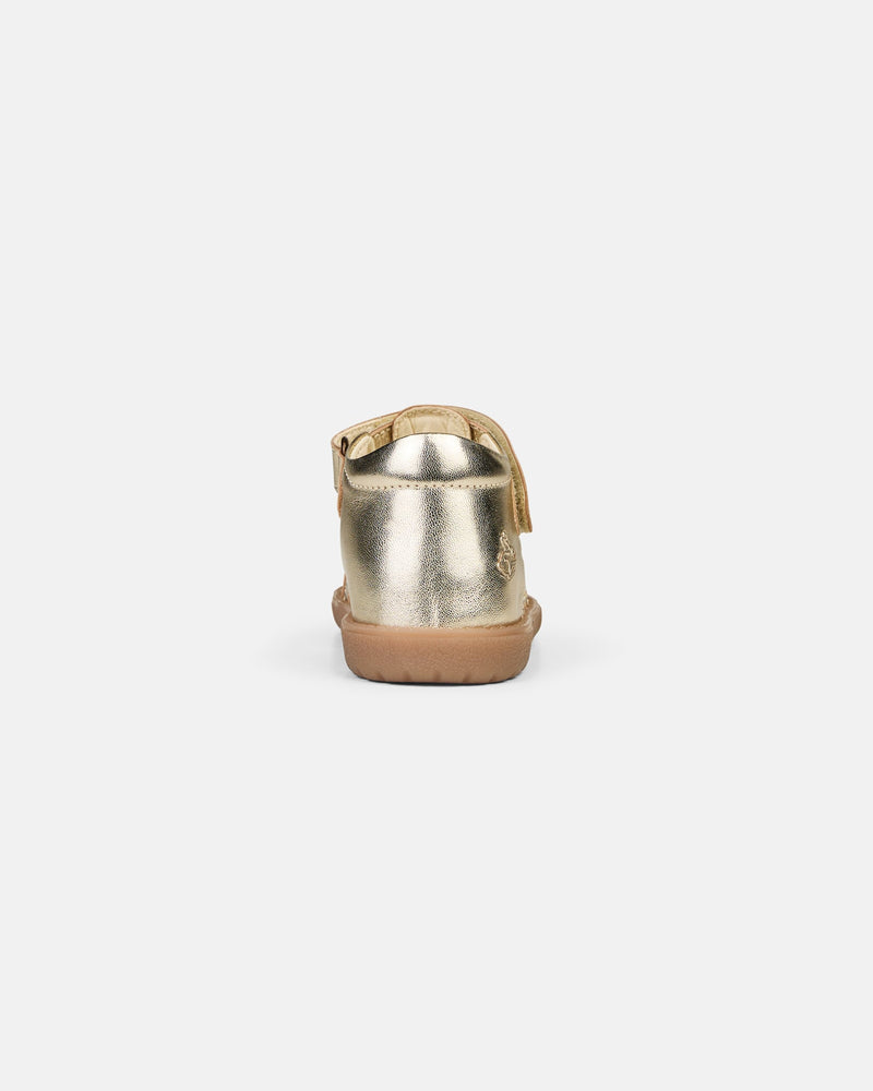 Rollo Goldie