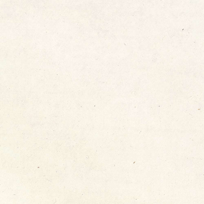 Rosa indica pumila (Single-Flowered Bengal Rose) by Pierre Joseph Redouté, 1817