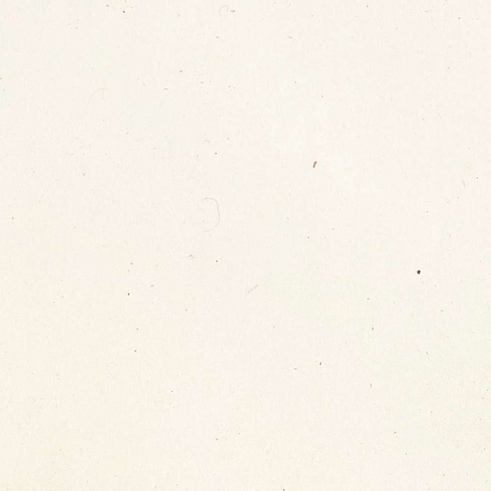 Rose (Rosa reclinata flore simplici) by Pierre Joseph Redouté, 1817