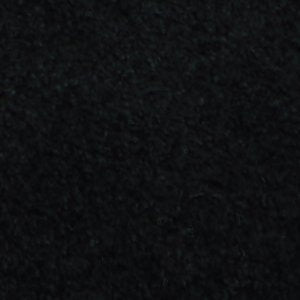 Sargasso