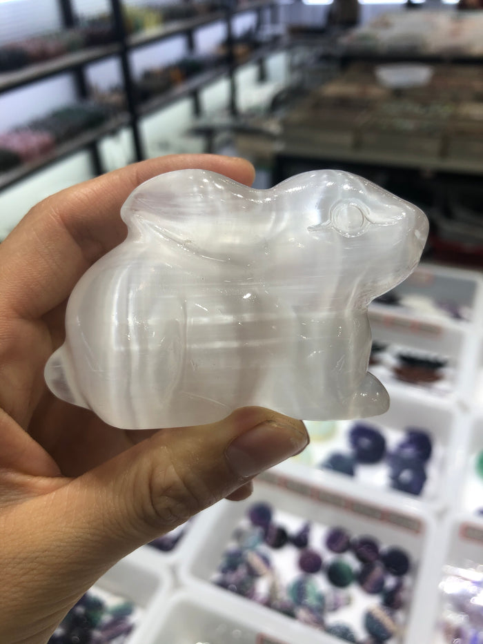 Selenite rabbit