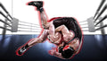Sports Fabric, Wrestling Fabric Panel, In the Ring Four, 3732 - Beautiful Quilt