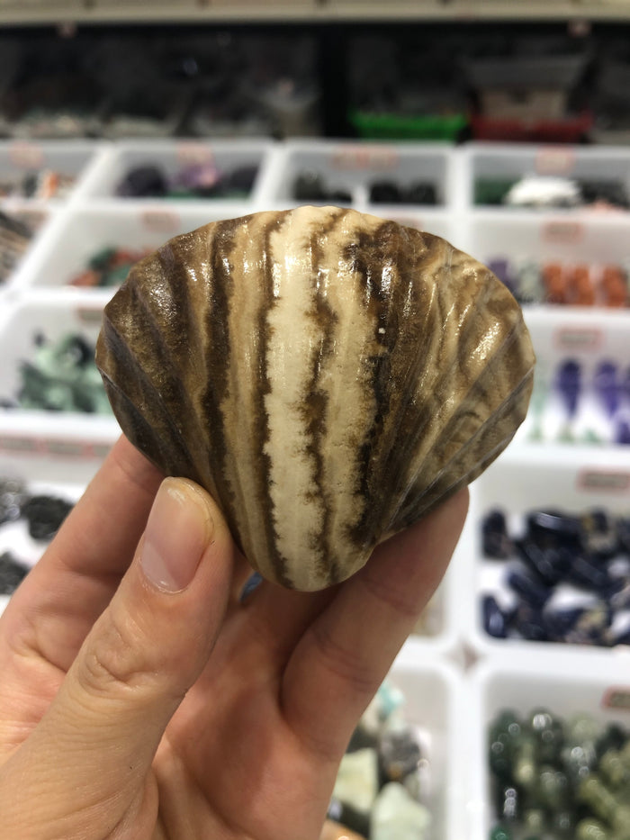 Stone shell